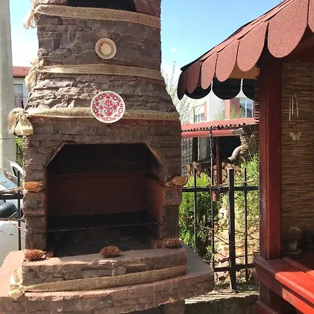 House With Fireplace Apartment *